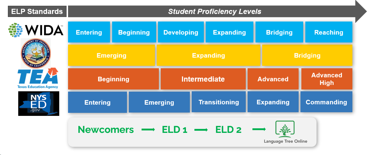 English Language Proficiency Progression