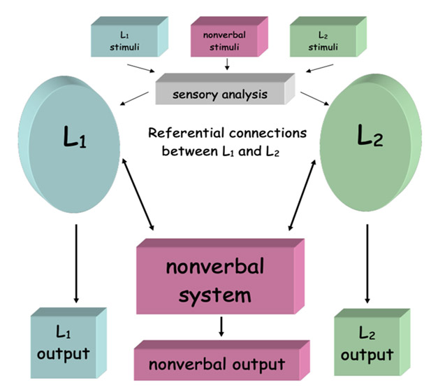  Adaptation of Allan Paivio's Model of Dual Coding for L2 Language Acquisition  